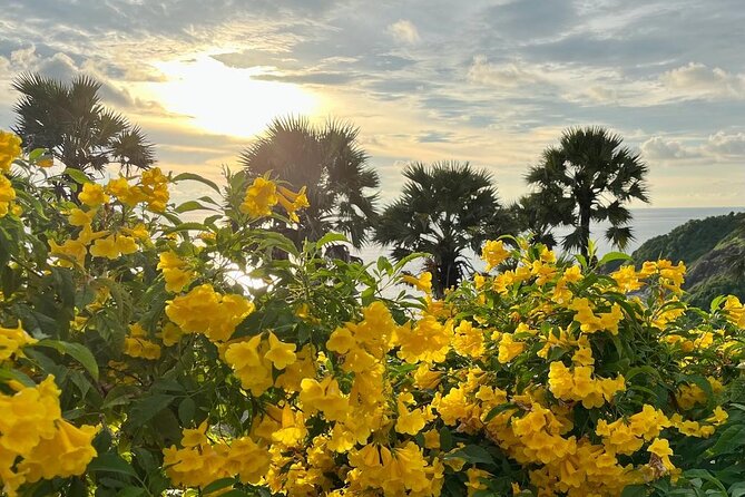 Big Buddha Tiger Park Thai Food Sunset Dinner - Transportation and English-Speaking Guide