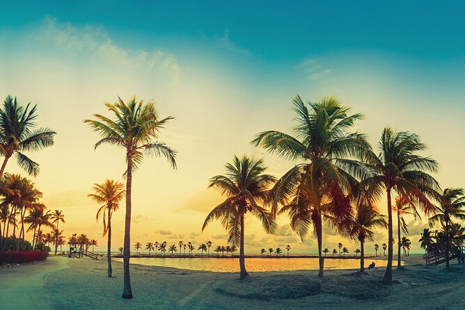 Big Bus Miami Night Tour - Tour Details and Inclusions