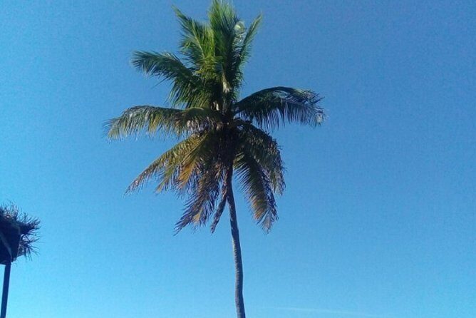 Big Bus Private Tour (minimum of 15) - Final Thoughts