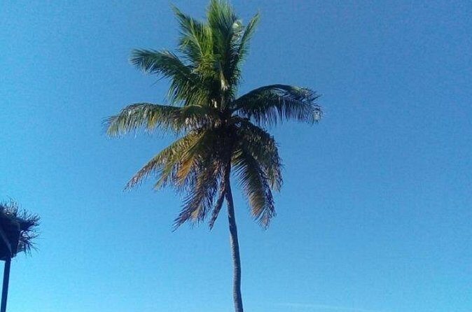 Big Bus Private Tour (minimum of 15) - FAQ