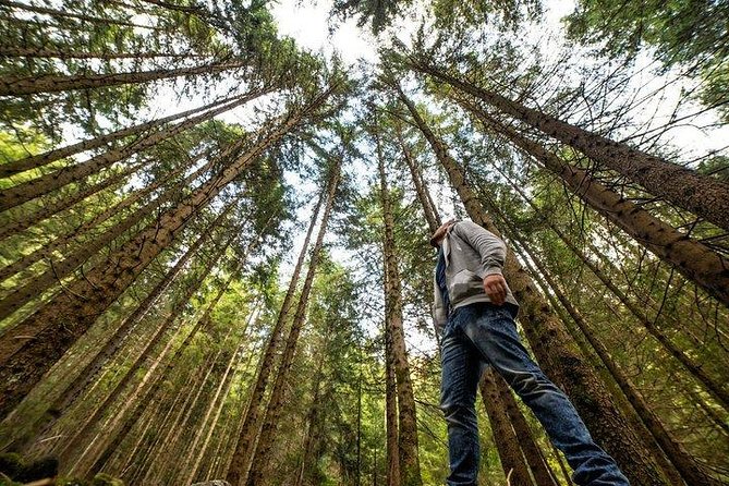 Big Bus San Francisco Muir Woods and Alcatraz Island Combo - Common Questions