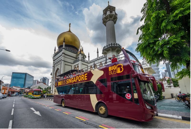 Big Bus Singapore Hop On Hop Off Tour (Open-Top) - Two routes, two different sides of Singapore