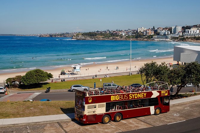 Big Bus Sydney and Bondi Hop-on Hop-off Tour - Selecting Date and Travelers