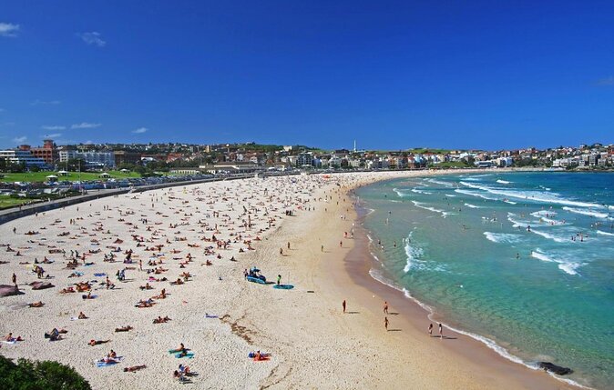 Big Bus Sydney and Bondi Hop-on Hop-off Tour - Overview of the Tour