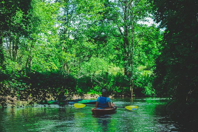 Big Creek Kayak Tour - Wildlife Sightings on the Kayak Tour
