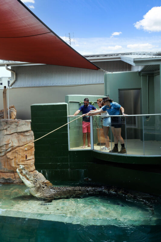 Big Croc Feeding and Guided Tour in Darwin - What the Big Croc Feed Experience includes