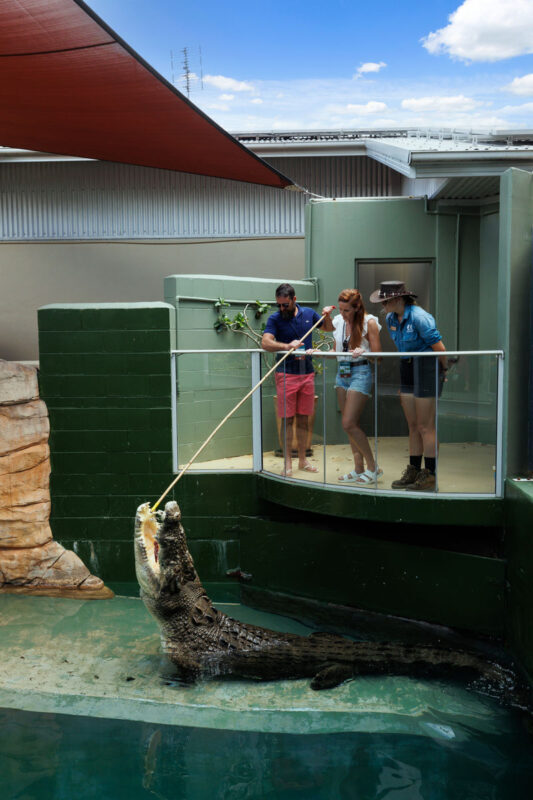 Big Croc Feeding and Guided Tour in Darwin - Is the price good value?