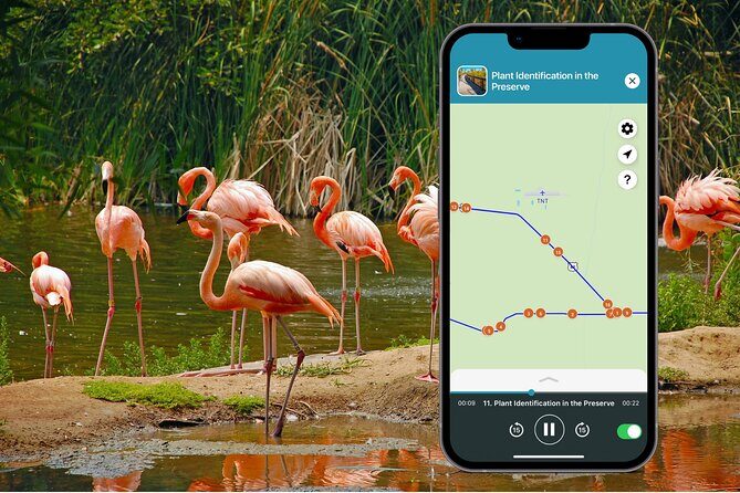 Big Cypress National Preserve Audio Tour Guide - Who Will Love This Tour?