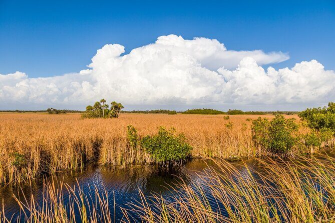 Big Cypress National Preserve Audio Tour Guide - FAQ