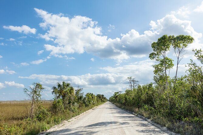 Big Cypress National Preserve Audio Tour Guide - A Deep Dive into the Big Cypress Experience