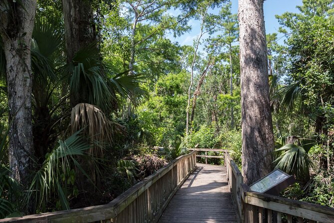 Big Cypress National Preserve Self Guided Driving Audio Tour - Tour Details and Benefits