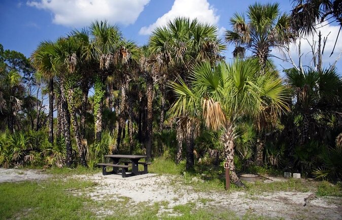 Big Cypress National Preserve Self Guided Driving Audio Tour - Inclusions