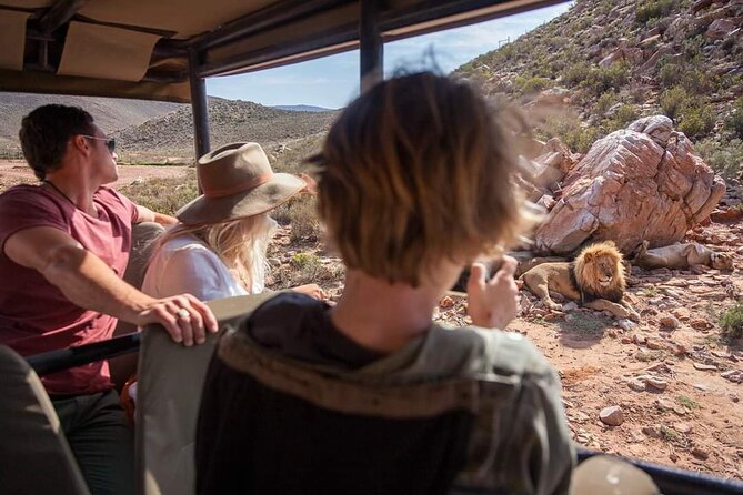 Big Five Safari Experience Near Cape Town ,South Africa - The Sum Up