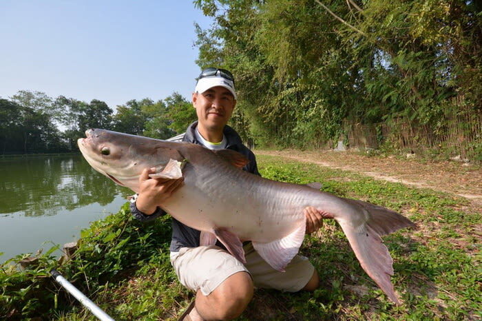 Big Game Fishing Adventure Chiang Mai - The quick take