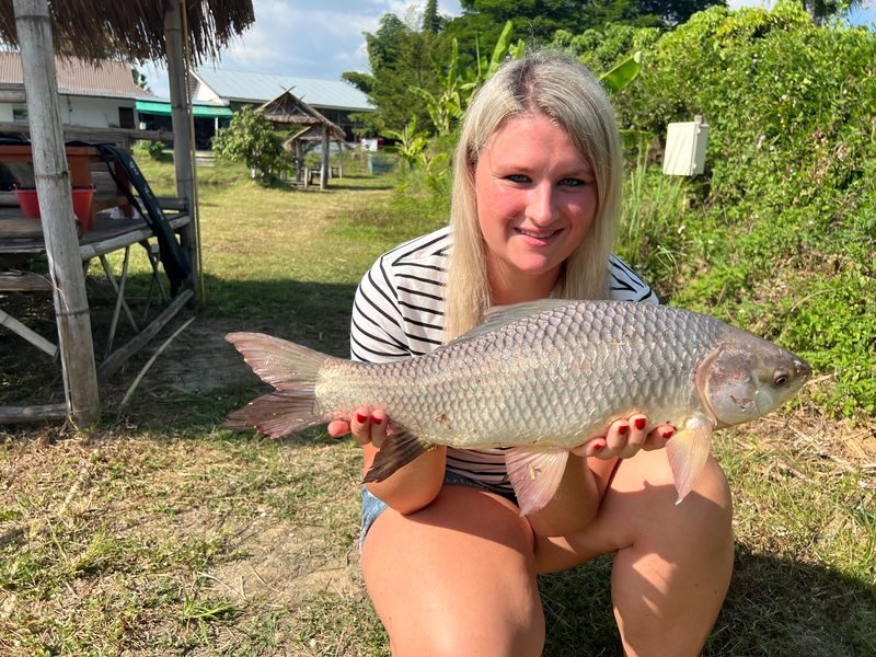 Big Game Fishing Adventure Chiang Mai - The drive from Chiang Mai to the lake