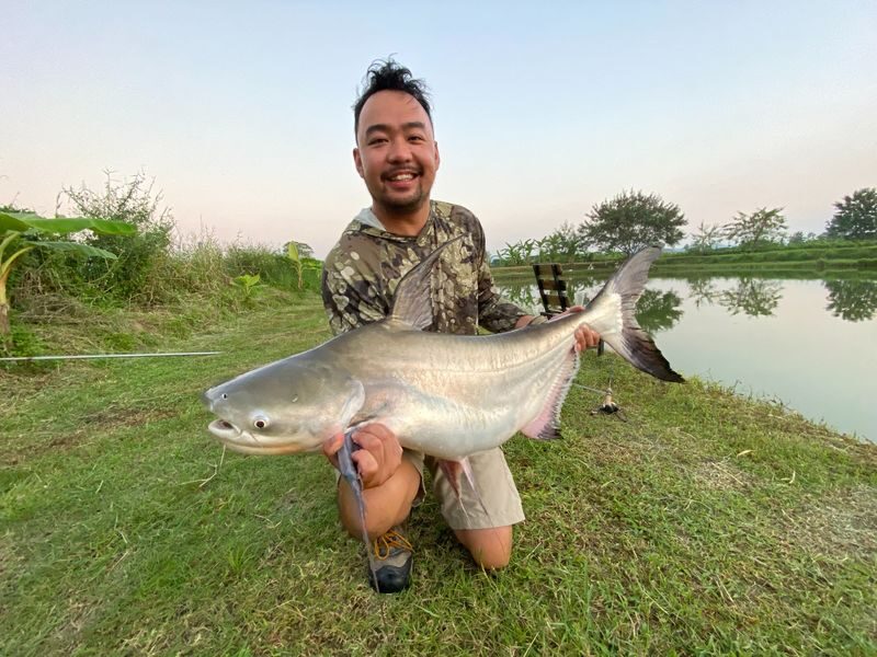 Big Game Fishing Adventure Chiang Mai - The main event: a strong catfish on the line
