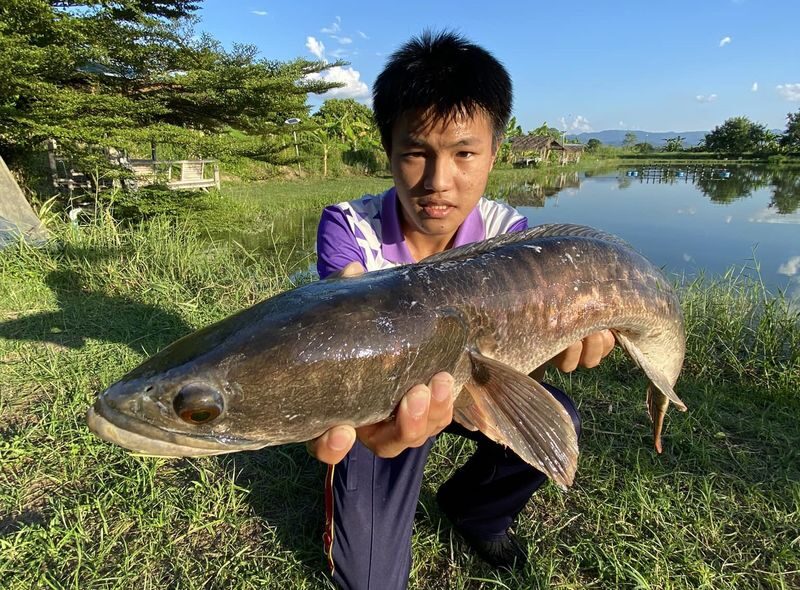 Big Game Fishing Adventure Chiang Mai - Who will get the most from this outing?