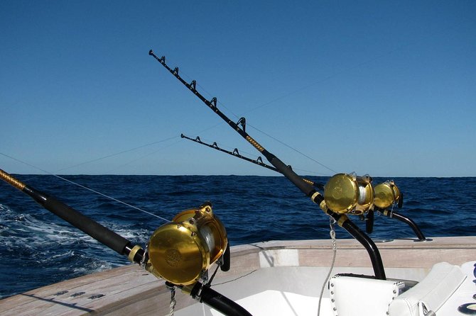 Big Game Fishing Full-Day Tour - Transfer Information