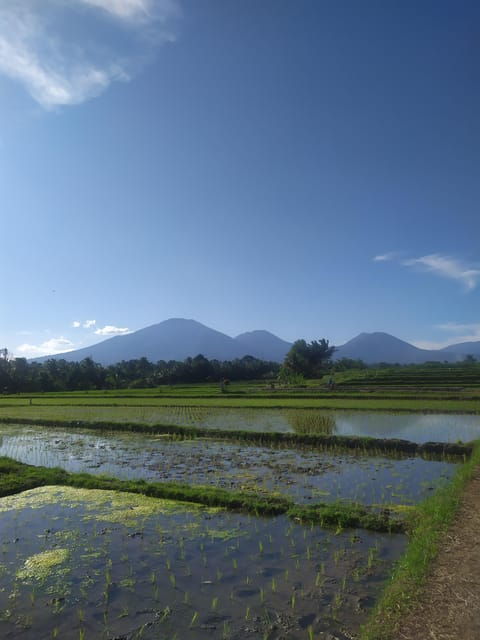 Big Group Tour in Bali - Cultural Immersion Activities