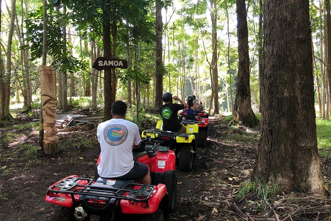 Big Island 2-Hour ATV Tour and Polynesian Villages Experience  - Big Island of Hawaii - The Sum Up and Recommendations