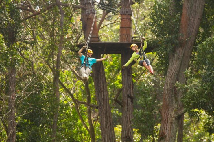 Big Island: 3-Hour Kohala Canopy Zipline Adventure - Activity Details