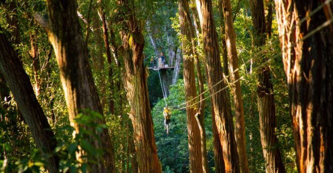 Big Island: 3-Hour Kohala Canopy Zipline Adventure - Transportation