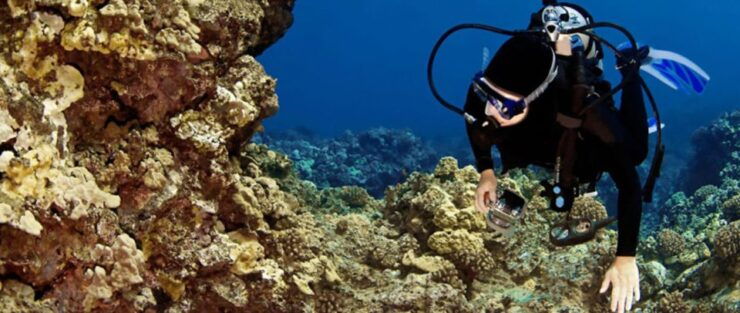Big Island: 3 Hour Waikoloa Snorkeling & Sailing Adventure - Experience Highlights
