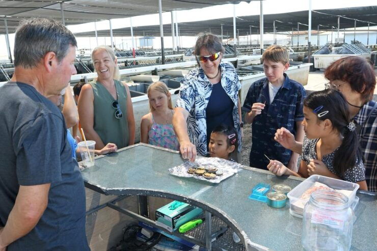 Big Island: Abalone Farm Guided Tour With Tasting - Good To Know