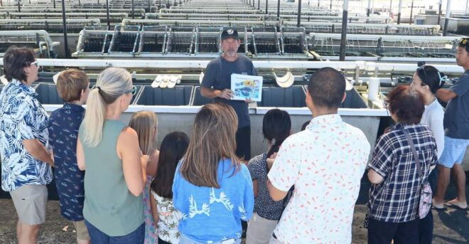 Big Island: Abalone Farm Guided Tour With Tasting - Highlights of the Tour