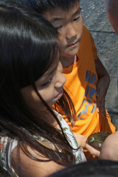 Big Island: Abalone Farm Guided Tour With Tasting - Frequently Asked Questions