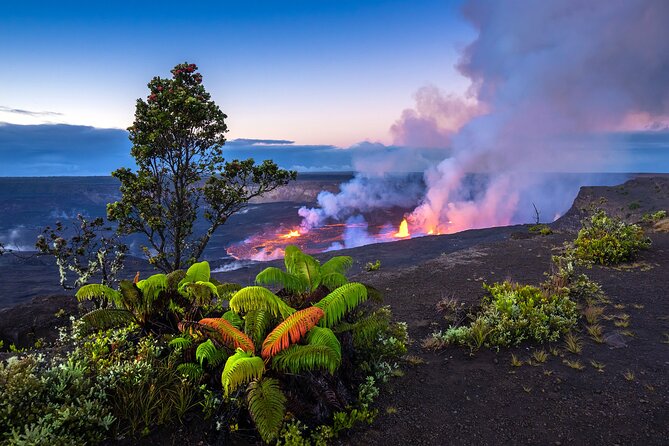 Big Island Active Volcano Adventure Tour - Positive Feedback on Tour Guides