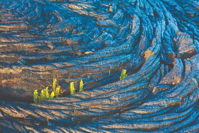 Big Island Active Volcano Adventure Tour - Interesting and Unique Experiences