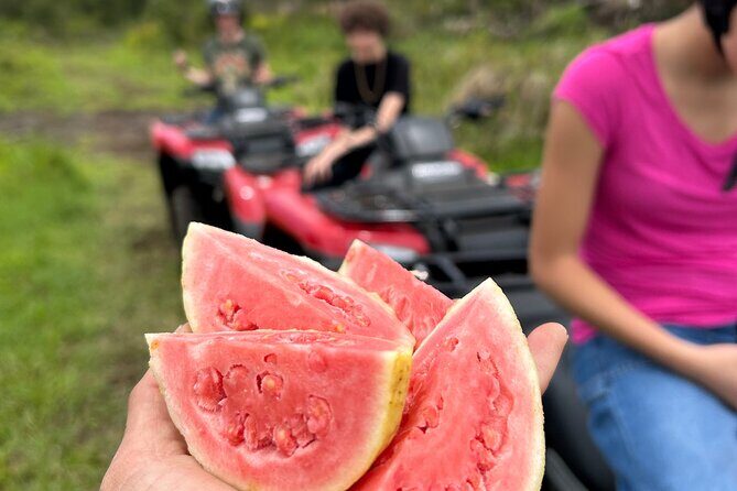 Big Island ATV Tour at Ohana Ranch - Good To Know