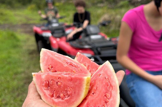 Big Island ATV Tour at Ohana Ranch - FAQs