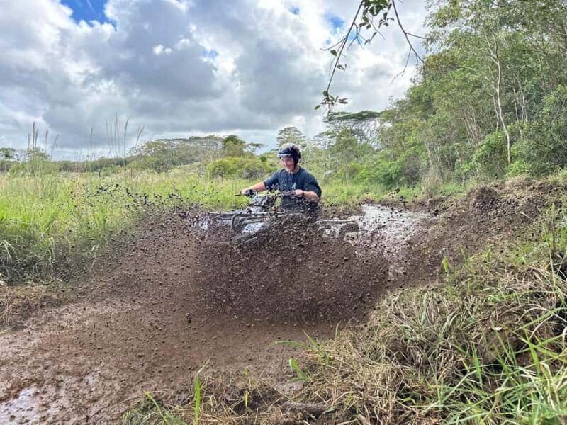 Big Island ATV Tour - Diving Into the Experience: What to Expect