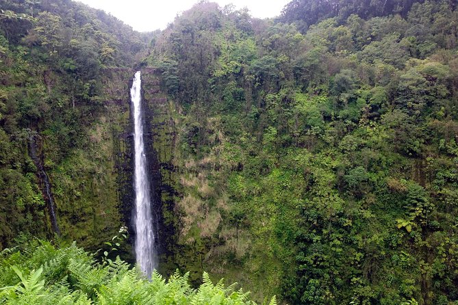 BIG Island BIG Volcano Adventure From Kona: Small Group - Tour Overview