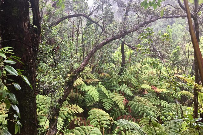 BIG Island BIG Volcano Adventure From Kona: Small Group - Additional Information