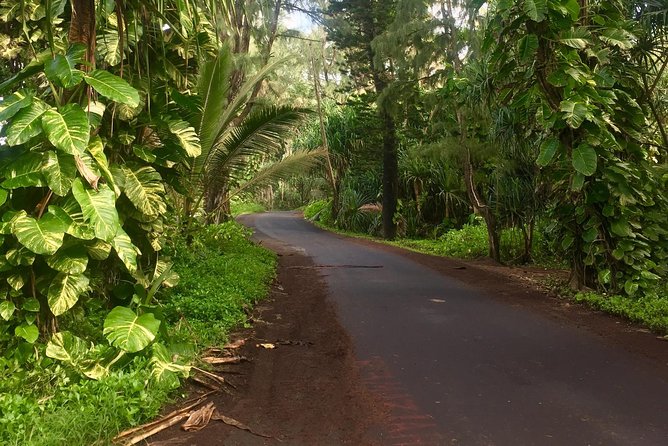 BIG Island BIG Volcano Adventure From Kona: Small Group - Tour Highlights