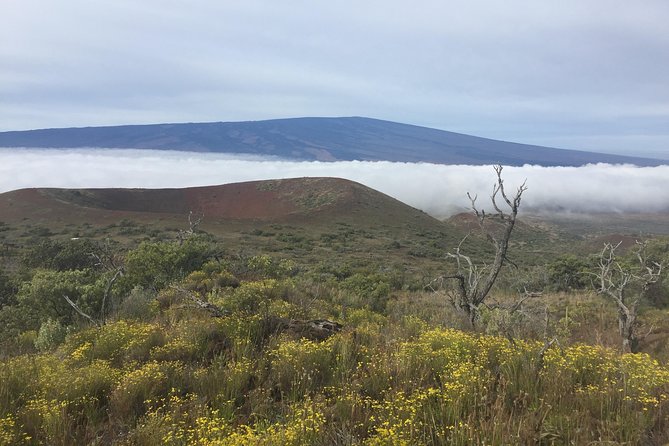 BIG Island BIG Volcano Adventure From Kona: Small Group - The Sum Up