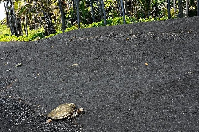 Big Island Excursion From Oahu  - Big Island of Hawaii - Tour Details and Inclusions