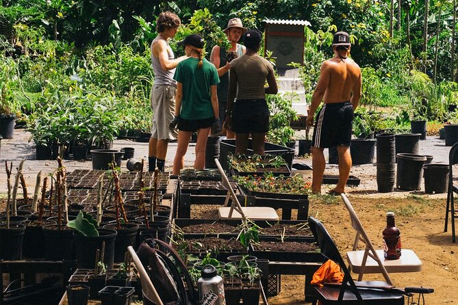 Big Island Farms Tour in Hawaii - Whats Included and Meeting/Pickup Details