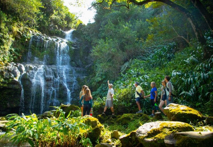 Big Island: Full Day Adventure Tour of the Kohala Waterfalls - Activity Details