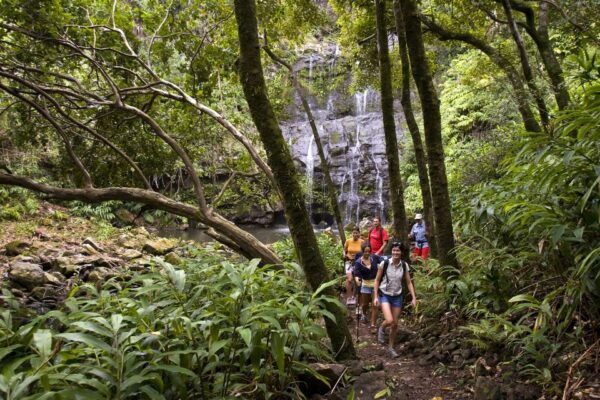 Big Island: Full Day Adventure Tour of the Kohala Waterfalls - Private Nature Reserve Walk
