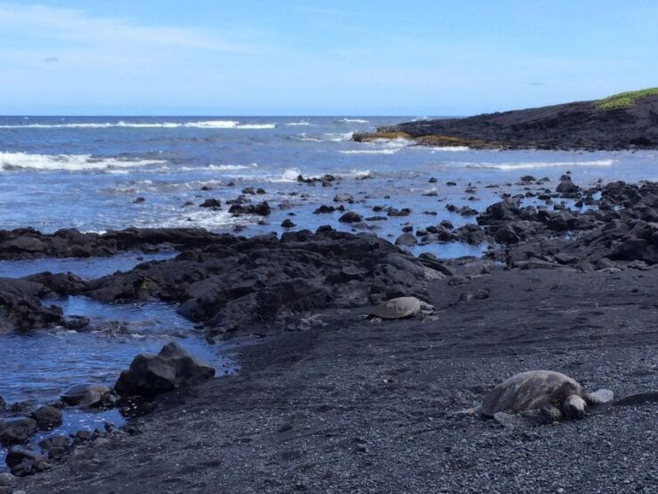 Big Island: Full Day Circle Island Tour From Kona - 12-Hour Duration and Small Group Tour