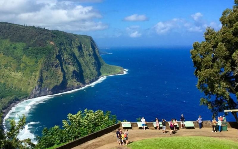 Big Island grand circle one-day tour - Rainforest and coastline, with a guide to explain the change