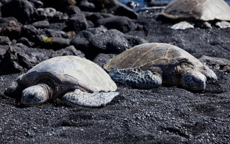 Big Island grand circle one-day tour - A full schedule, not a leisurely single-site visit