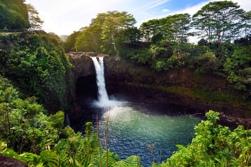 Big Island Half-Day Tour with Lunch - Walking through Thurston Lava Tube
