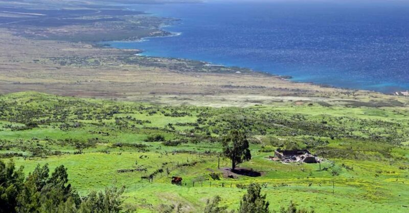 Big Island, Hawaii: Polaris Slingshot Rental - Who Should Consider This Adventure?