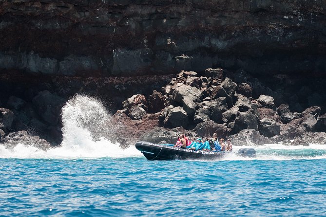 Big Island, Hawaii: Zodiac Snorkel Tour to Kealakekua Bay  - Big Island of Hawaii - Positive Reviews