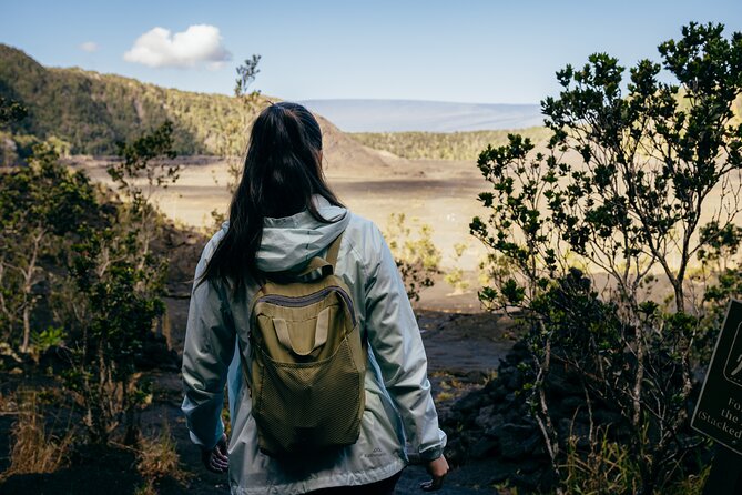 Big Island Highlights: Coffee, Volcano, Black Sands & Waterfall - Kona Coffee Farm Visit